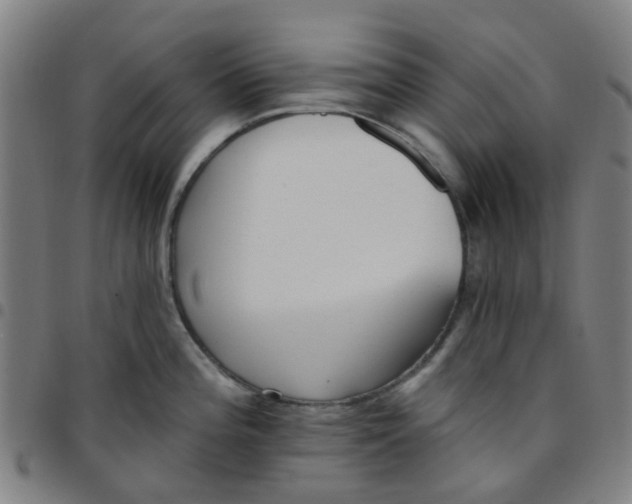 X0000097491196200803071732