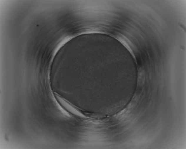 X0000097491197200803071732