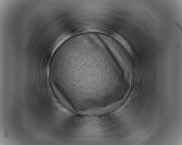 X0000097491198200803071732