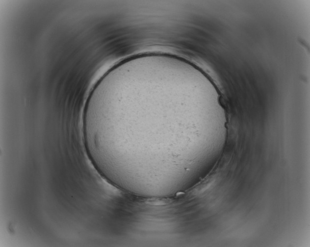 X0000097491199200803071732