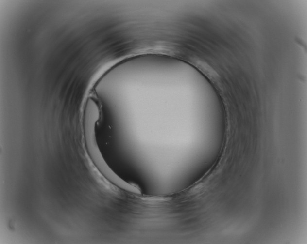 X0000097491200200803071732