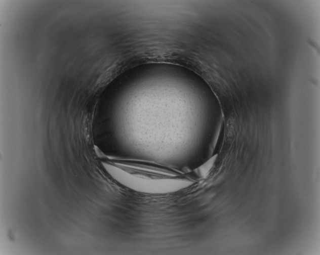 X0000097491202200803071731