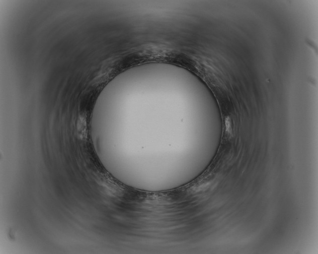 X0000097491203200803071731