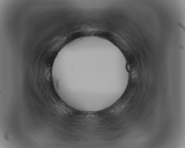 X0000097491204200803071731