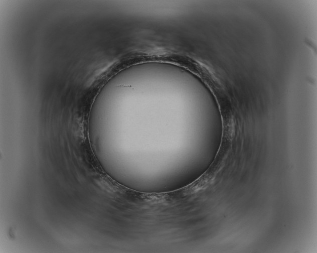 X0000097491205200803071731