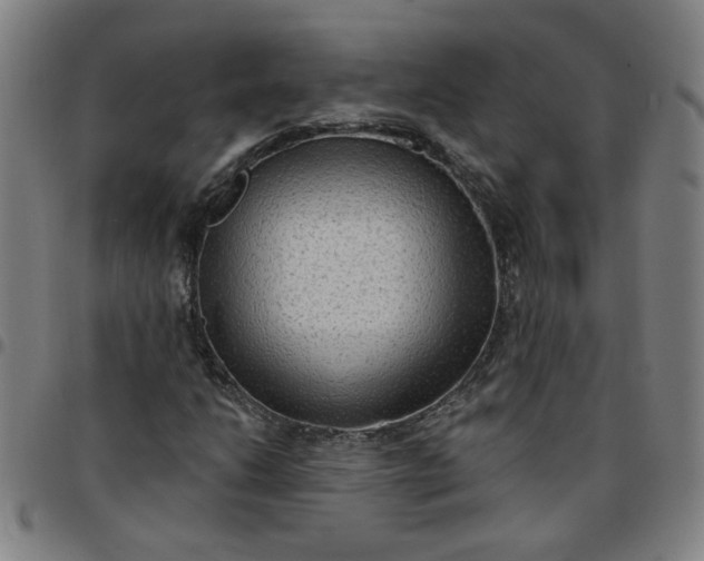 X0000097491206200803071731