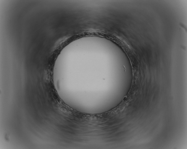 X0000097491207200803071731