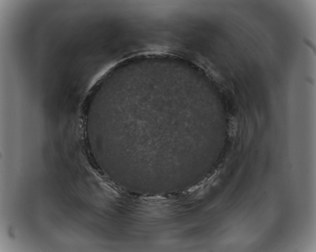 X0000097491208200803071731