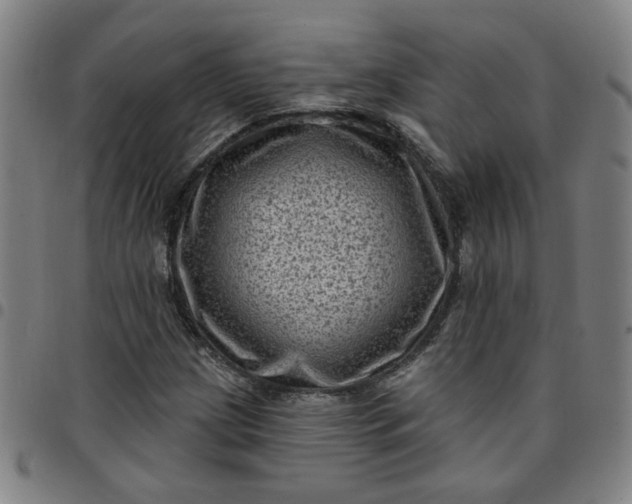 X0000097491209200803071731