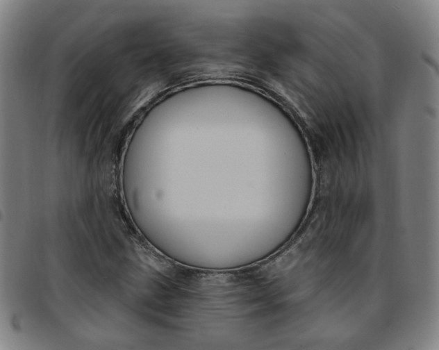 X0000097491211200803071731