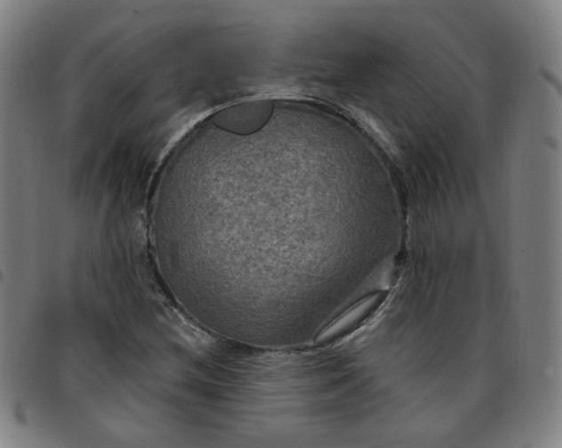 X0000097491212200803071731