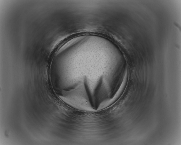 X0000097491214200803071732