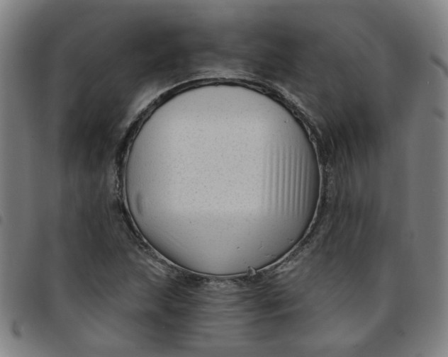 X0000097491215200803071732