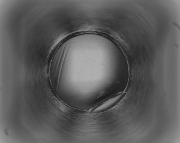 X0000097491216200803071732