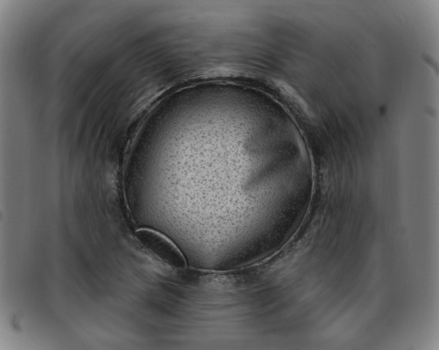 X0000097491217200803071732