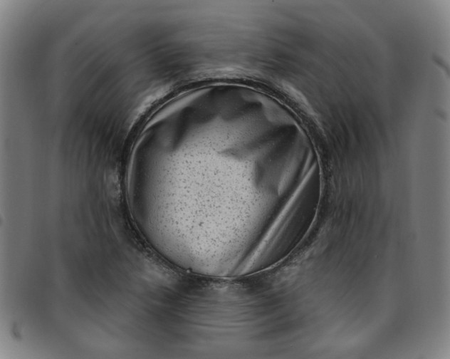 X0000097491218200803071732