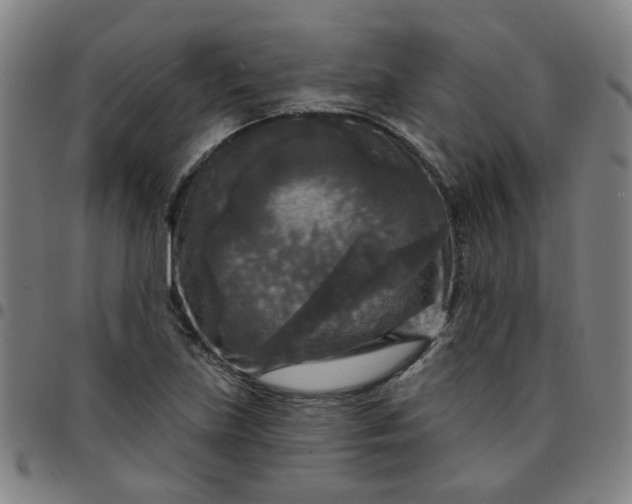 X0000097491219200803071732