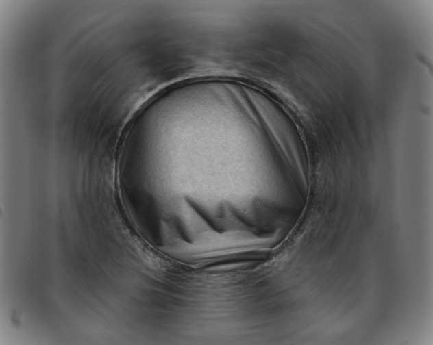 X0000097491220200803071732