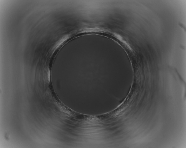 X0000097491221200803071732