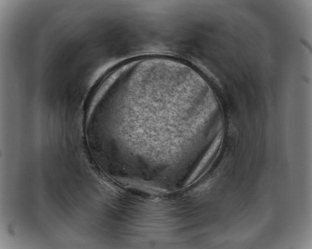 X0000097491222200803071732