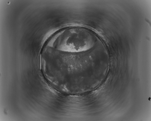 X0000097491223200803071732