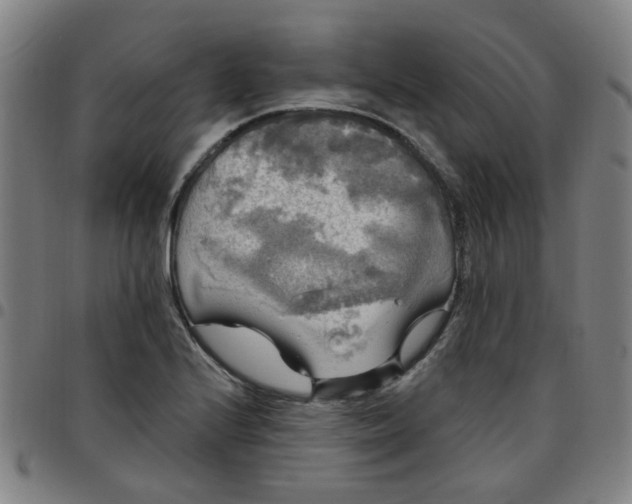 X0000097491224200803071732