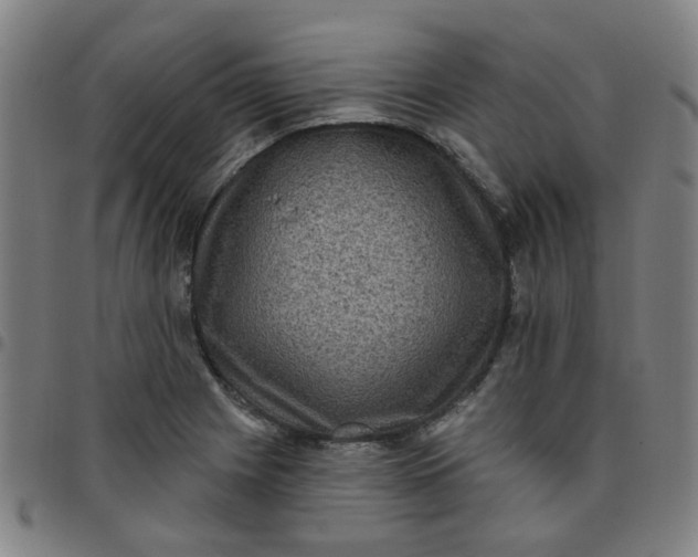 X0000097491225200803071732