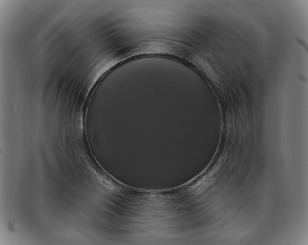 X0000097491226200803071732