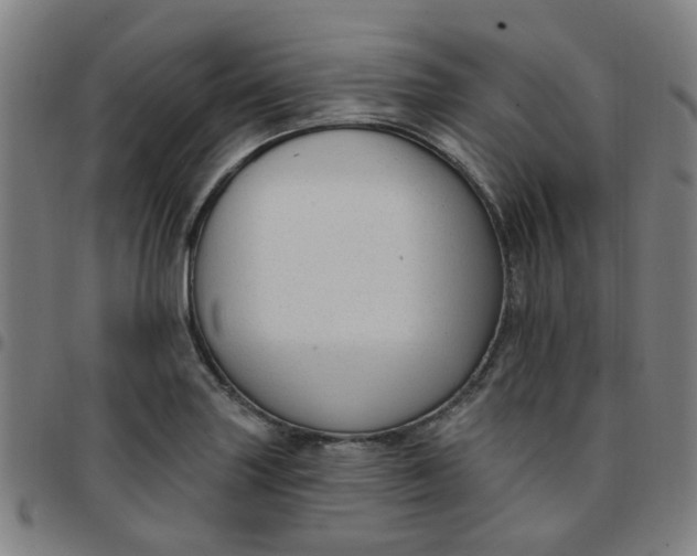 X0000097491227200803071732