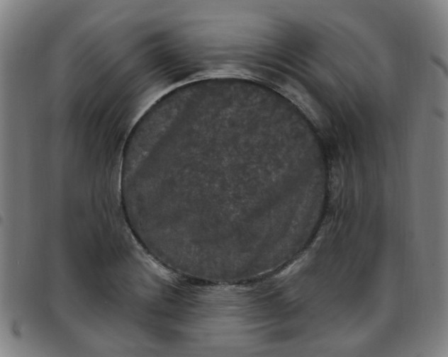 X0000097491228200803071732