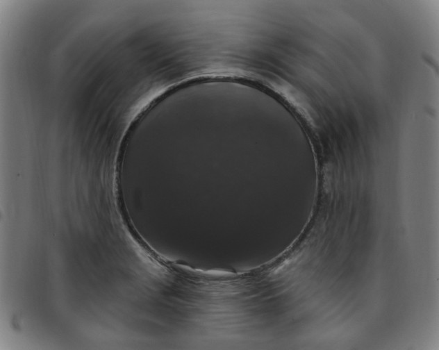 X0000097491229200803071732