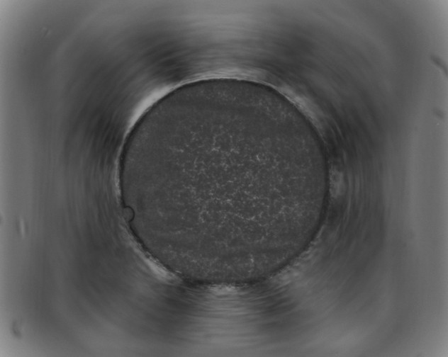 X0000097491230200803071732