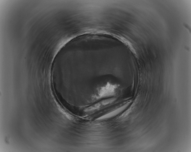 X0000097491231200803071732