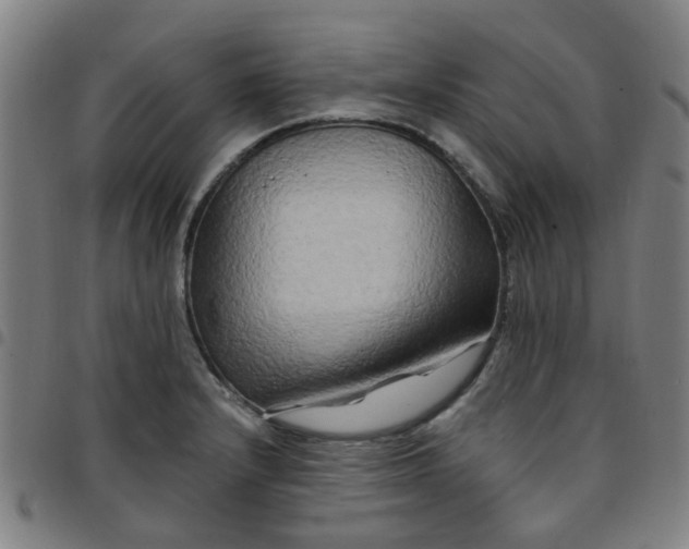 X0000097491232200803071732