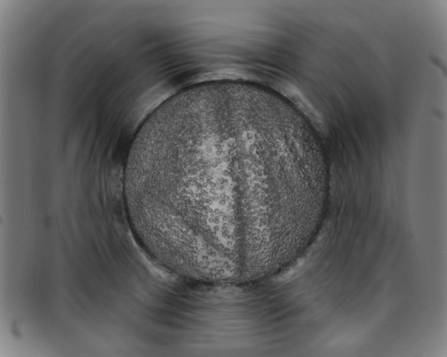 X0000097491233200803071732