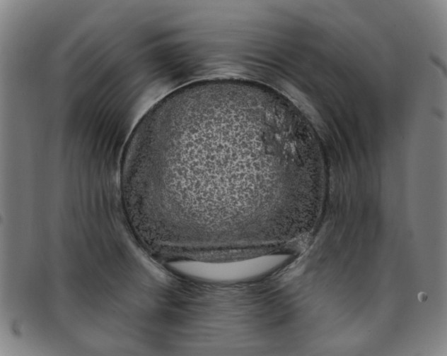 X0000097491234200803071732