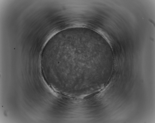 X0000097491235200803071732