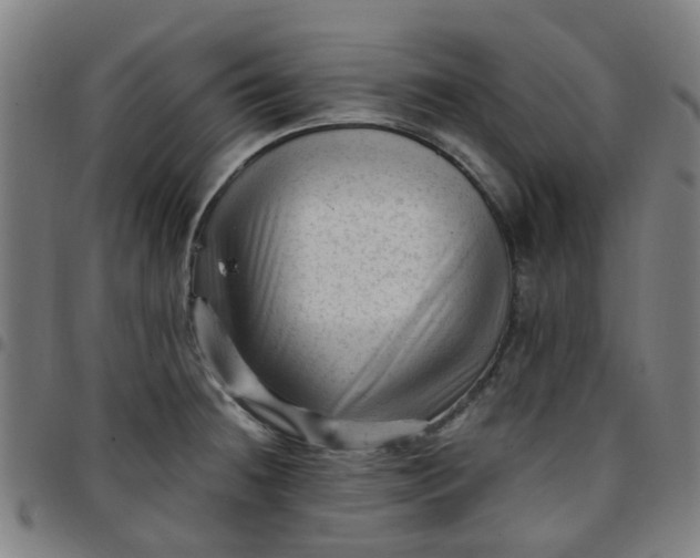 X0000097491236200803071732