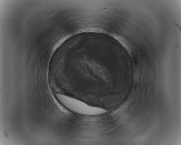 X0000097491237200803071732