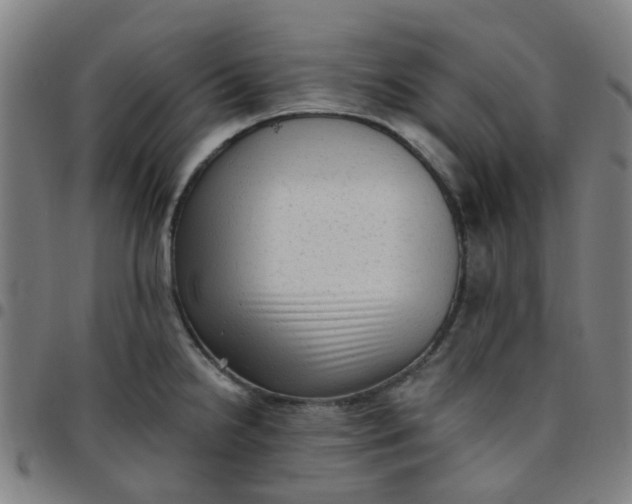 X0000097491238200803071732