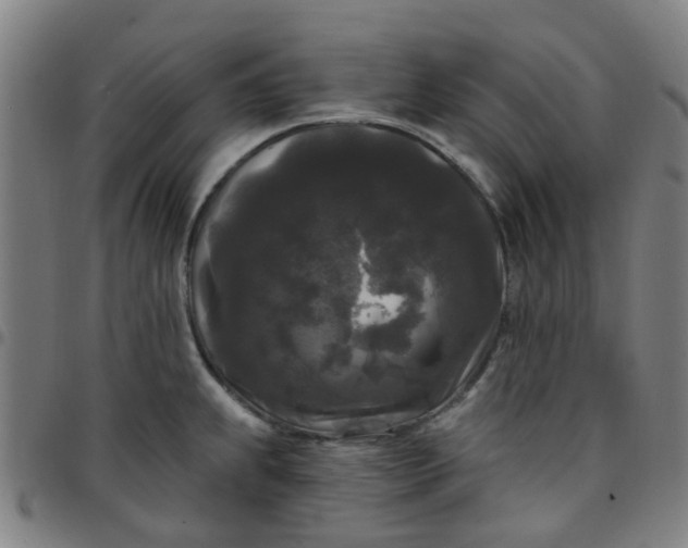 X0000097491239200803071732