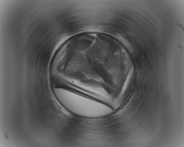 X0000097491240200803071732