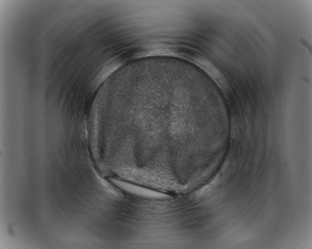 X0000097491241200803071732