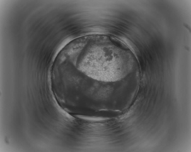 X0000097491243200803071732