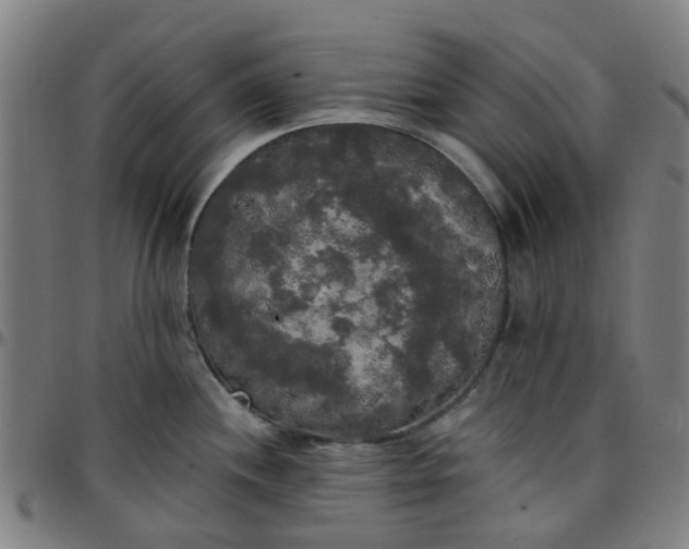 X0000097491244200803071732