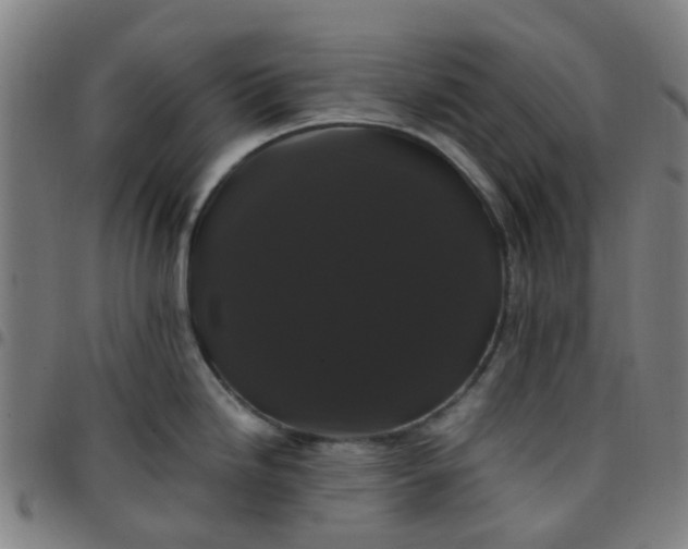 X0000097491246200803071732