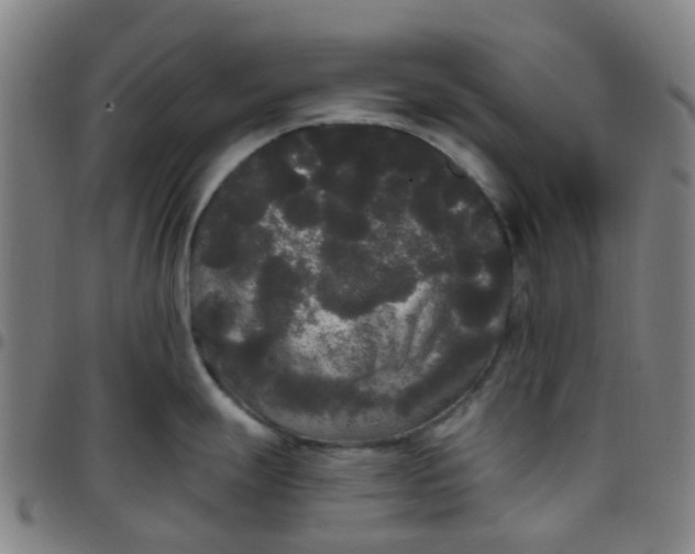 X0000097491247200803071732