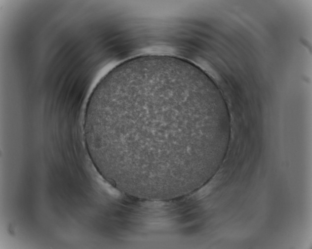 X0000097491248200803071732