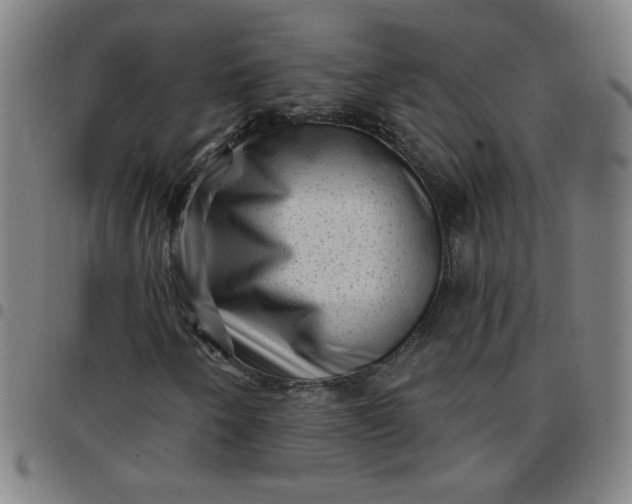 X0000097491250200803071731