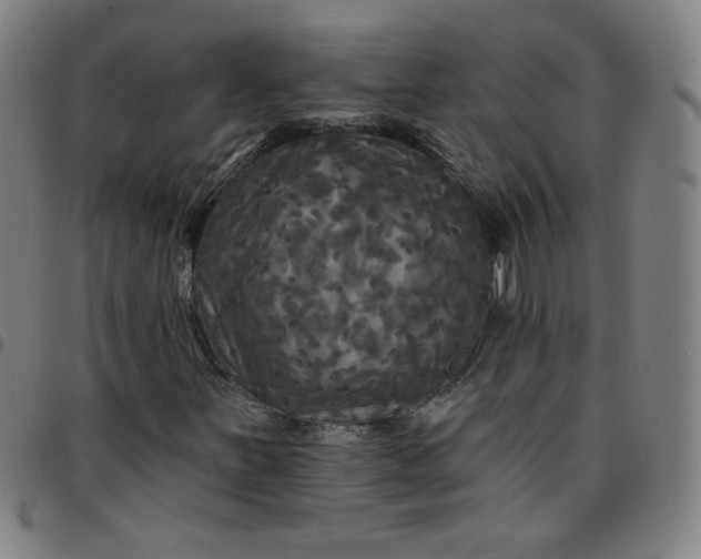 X0000097491251200803071731